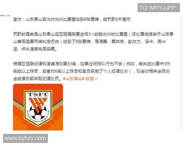 山东泰山遭重罚每张黄牌罚款1000美金亚足联执法引发争议 山东泰山遭重罚每张黄牌罚款1000美金亚足联执法引发争议